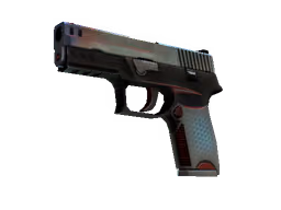 P250 | Cyber Shell (Field-Tested)